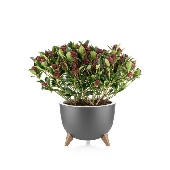 Саксия с крачета ALYA 10л ГРАФИТ № ALY-603